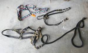 harness, bridle, rein