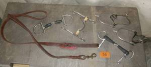 Various tack - bits, rein, spurs