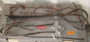 Bridle and reins
