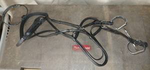 Bridle and reins