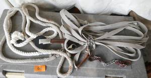 Rope reins