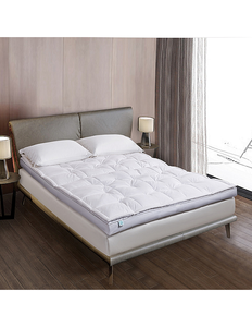New Martha Stewart 3 Down-Top Featherbed Mattress Topper - Queen. Retails for $305