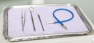 lot 4 image: 2 Cases (500 each per case) NEW Brixton Single-Use Non-Sterile Disposable Plastic Barriers Tray Sleeves