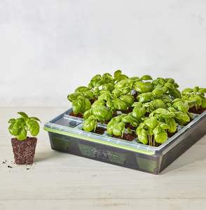 lot 503 image: LOT OF 35 Burpee SuperSeed Seed Starting Tray  16 XL Cell  Reusable & Dishwasher Safe