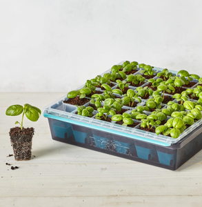lot 504 image: LOT OF 16 Burpee SuperSeed Seed Starting Tray  36 Cell Reusable Seed Starter Tray