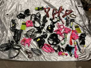 lot 325 image: LOT OF 55 Dog Accesories