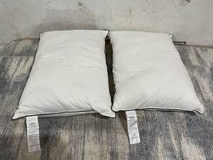 lot 111 image: LOT OF 2 Pillows 20x28