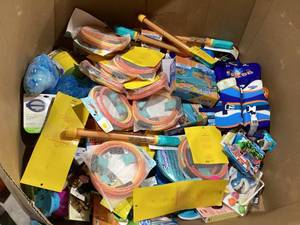 lot 702 image: LOT OF Miscellaneous Outdoor Pool Toys and accesories