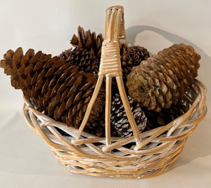 lot 385 image: Jumbo Coulter Pinecones and Others in a Basket