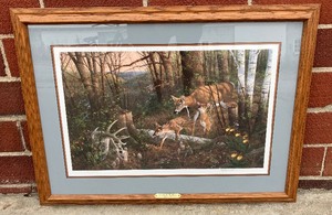 lot 2 image: Michael Sieve The Whitetail Series Framed Art Oakridge Renewal White Tail Deer Signed and Numbered