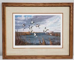 lot 31 image: David Maass Signed & Framed Wild Wings Number 6851000