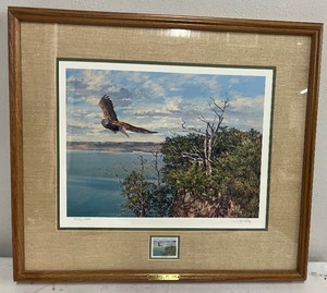 lot 160 image: Pepin Heights - Bald Eagle Framed Print - by Wayne Meineke - Signed and Numbered 9021500
