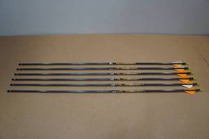 lot 68 image: 6 Pro Hunter Gold Tip Arrows