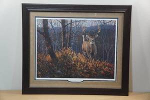 lot 166 image: Bruce Miller Framed Print Backwoods Runner - 17362000