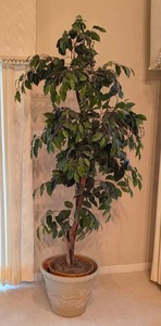 lot 33 image: Potted Faux Ficus Plant