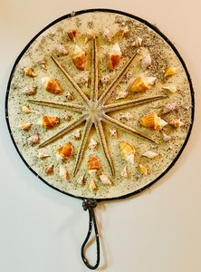 lot 146 image: Outstanding Mounted Seashells and Sand from Ocean Treasure Collecting