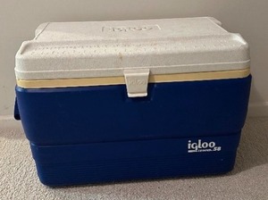 lot 177 image: Igloo Cooler
