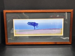 lot 115 image: Pottery Barn Framed Photograph Print of Lone Tree in the Field signed Knight