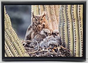 lot 134 image: Tom Knight Great Horned Owl Nesting Wall Photography