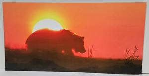 lot 155 image: Tom Knight Coastal Brown Bear Sunrise Floating Metal Wall Photography