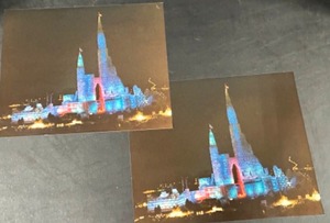 lot 384 image: St Paul Winter Carnival ICE PALACE Colored Glossy Photos - Qty 2