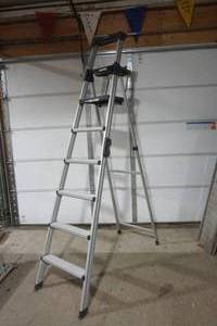 lot 67 image: Cosco aluminum ladder
