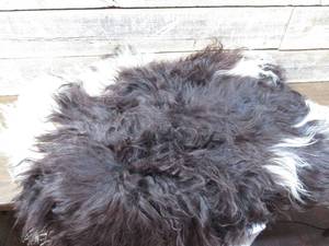 lot 13 image: 28 x 28 Sheep Skin Rug-Brown White