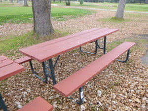 lot 117 image: Picnic Table