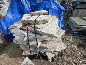 2000 LBS 2 Fond du Lac Irregulars