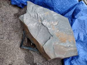 2000 LBS Bluestone Natural Cleft Slab