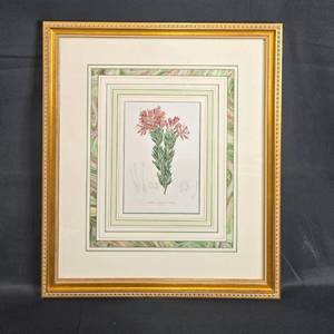 lot 132 image: Framed Antique Botanical Print of Bejaria Ledifolia by Louis Van Houtte - Circa 1849