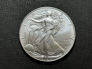 2024 Silver Eagle