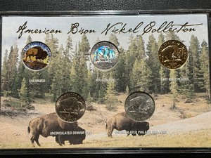 American Bison Nickel Collection