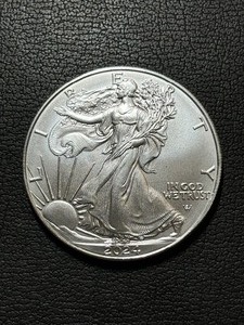 2024 Silver Eagle