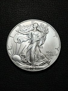 lot 42 image: 2024 Silver Eagle