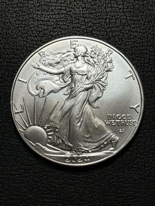 lot 70 image: 2024 Silver Eagle