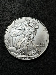 lot 94 image: 2024 Silver Eagle