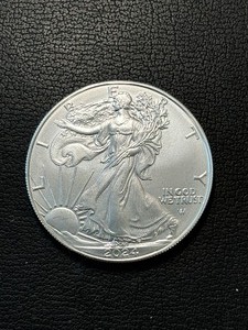 lot 171 image: 2024 Silver Eagle