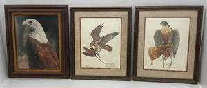 lot 164 image: Two Framed Behind Glass 1970s Falcon Prints Pencil Signed By Artists 80350 & 238350 21 12 x 26 & Framed Behind Glass Eagle Picture 23 x 27