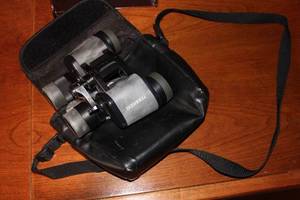 lot 20 image: Bushnell Binoculars with Carry Case - Model Unknown