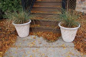 lot 124 image: Pair of Stone Planters with Decorative Grass