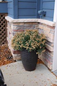 lot 125 image: Lot of 3 Decorative Planters with Plants