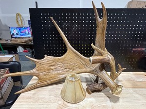 Hanging Moose Antler Lamp