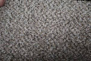 lot 36 image: 9.9 x 14 Carpet Remnant