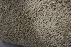 lot 54 image: Pale Tea Carpet Remnant 442 x 12