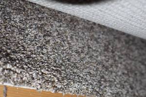 lot 60 image:  X 12 Carpet Remnant