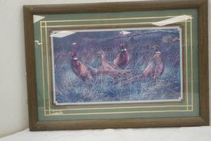 lot 441 image: Bradshaw pheasant print