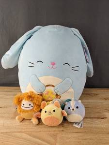 lot 73L image: 4 Brand New Squishmallows - Buttons, Meghan, Sol and Shasta $63 Retail W
