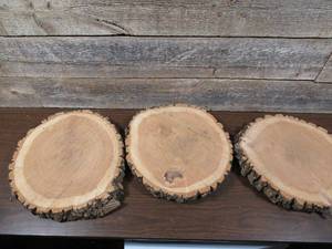lot 61 image: Set of 3 2inch Thick Wood Log Cuts-12, 13, 14 Wide