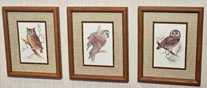 lot 62 image: Botanical Owl Framed Print Series of 3